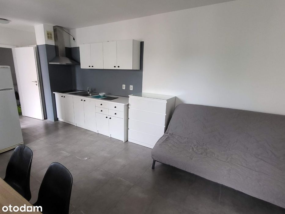 Mieszkanie 30 mkw ( Studio flat ) Grzegórzecka 43