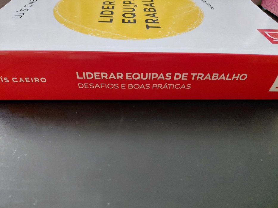 Livro Liderar Equipas de Trabalho de Luís Caeiro