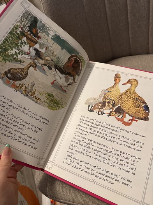 Livros infantis ilustrados em ingles