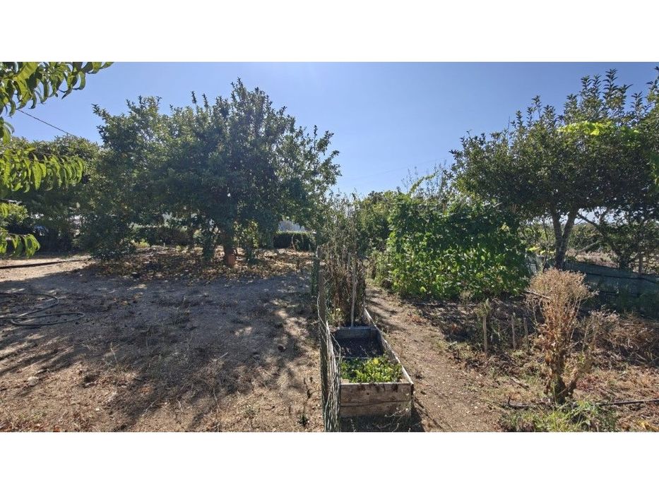 Quinta com vista Mar em Santiago do Cacém