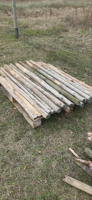 paliki i deski geodezyjne