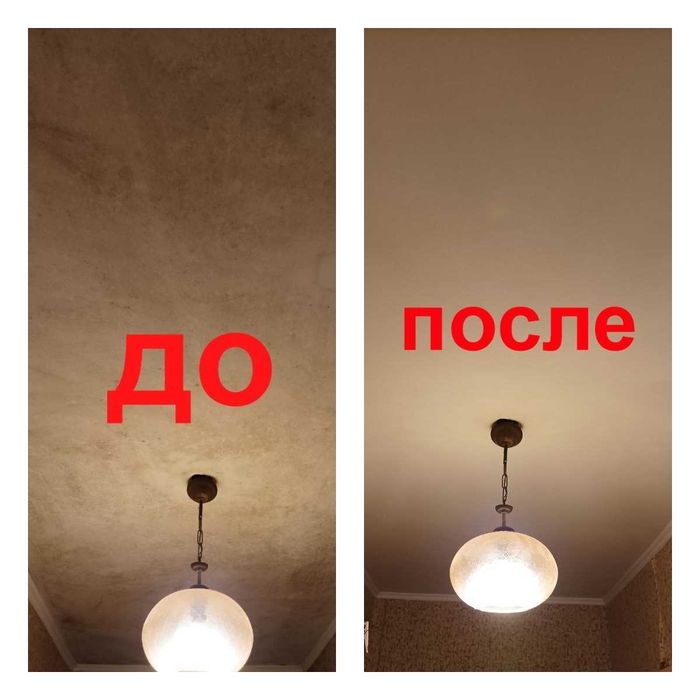 Удаление Грибка/Плесени Бесплатно Консультируем. Грибок/Плесень/Метод.