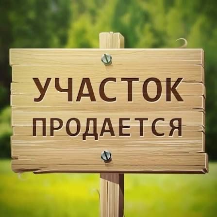 Фото ділянки