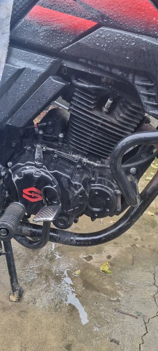 Продам мустанг 250