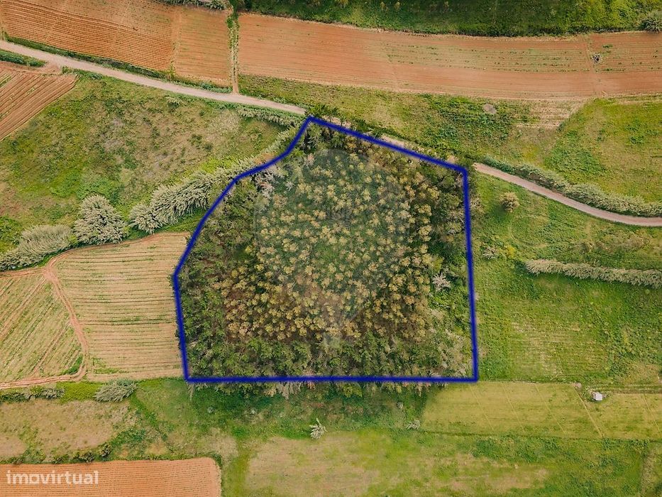 Terreno  para venda — Santa Bárbara, Lisboa
