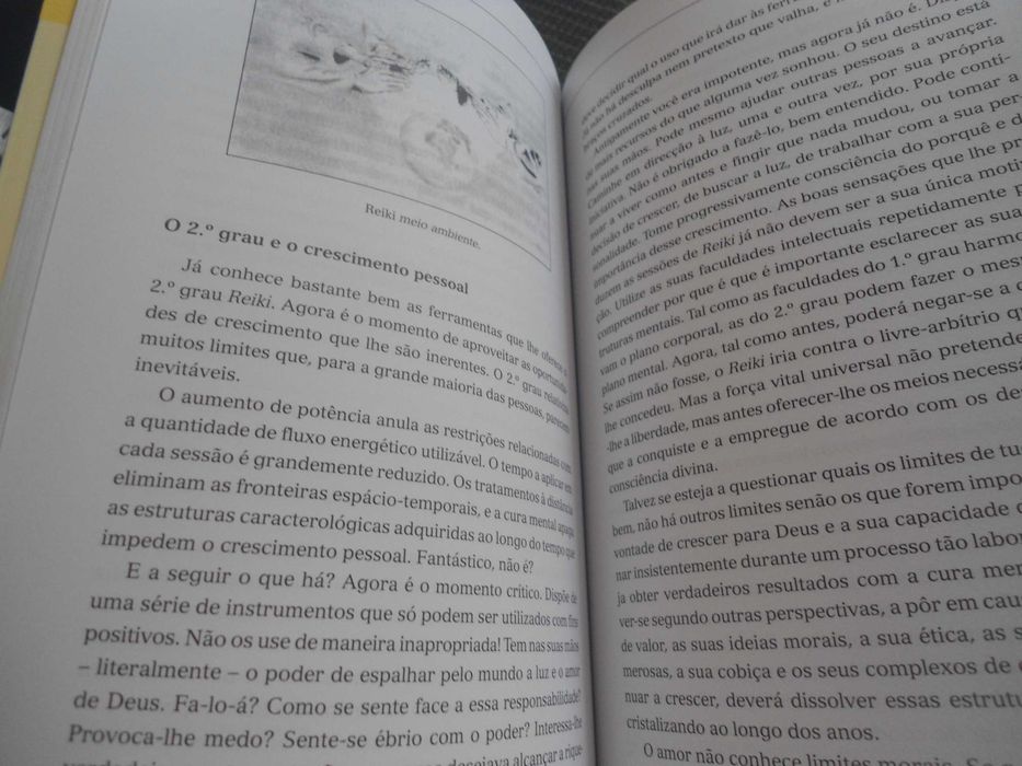 Reiki, um caminho por Walter Lubeck