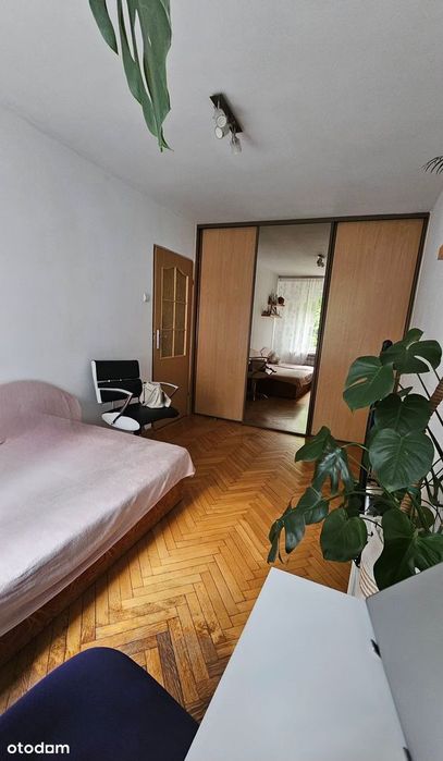 3 pokoje| Centrum Sosnowca | 54,61 m² | 309 tys - Widok 2