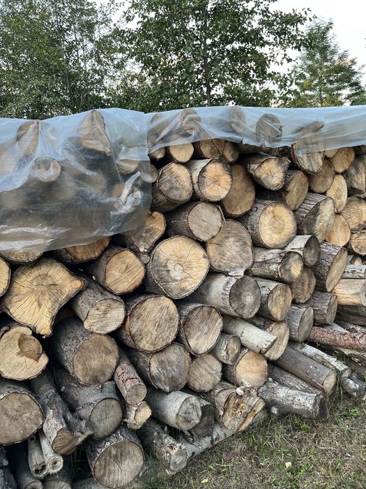 Sprzedam drewno opałowe - liściaste