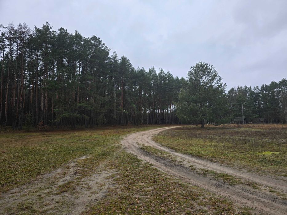 Земельна ділянка на озері Світязь