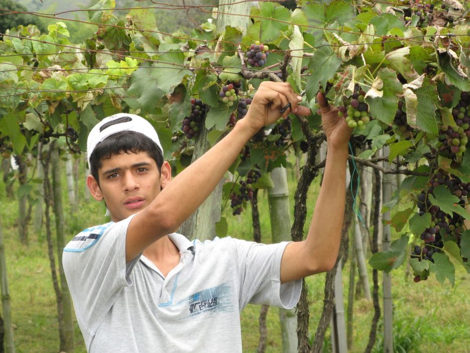 Цифрова камера Canon PowerShot A710 IS