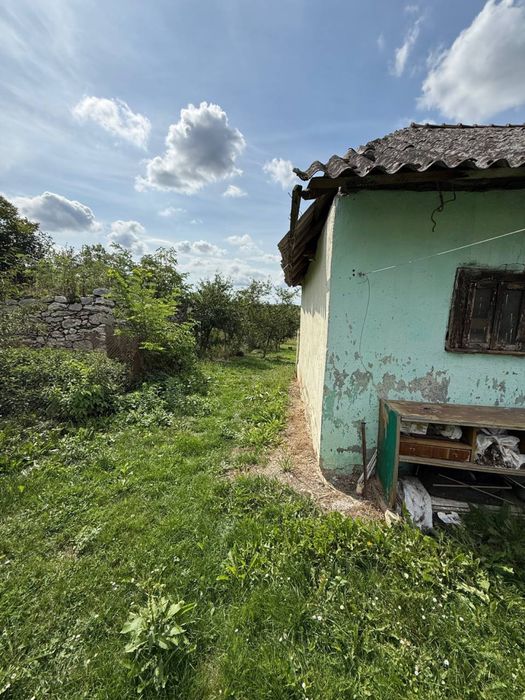 Продаж будинку в с.Грушка