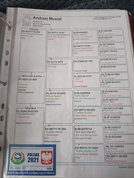Redukcja rozpłodu