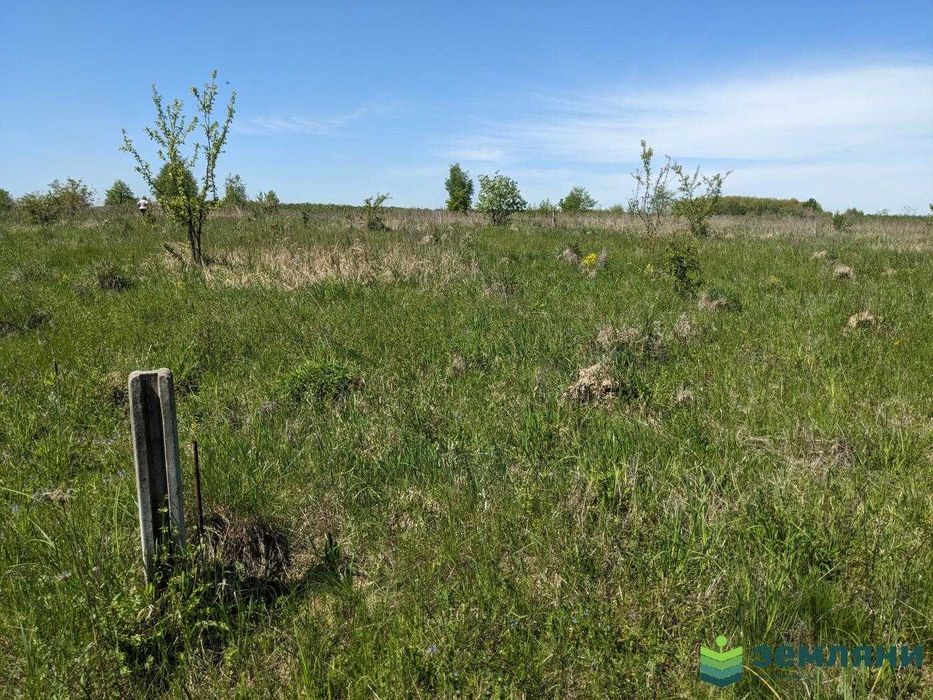 Продається земельна ділянка 12 соток під будівництво в с.Колодіївка (5)