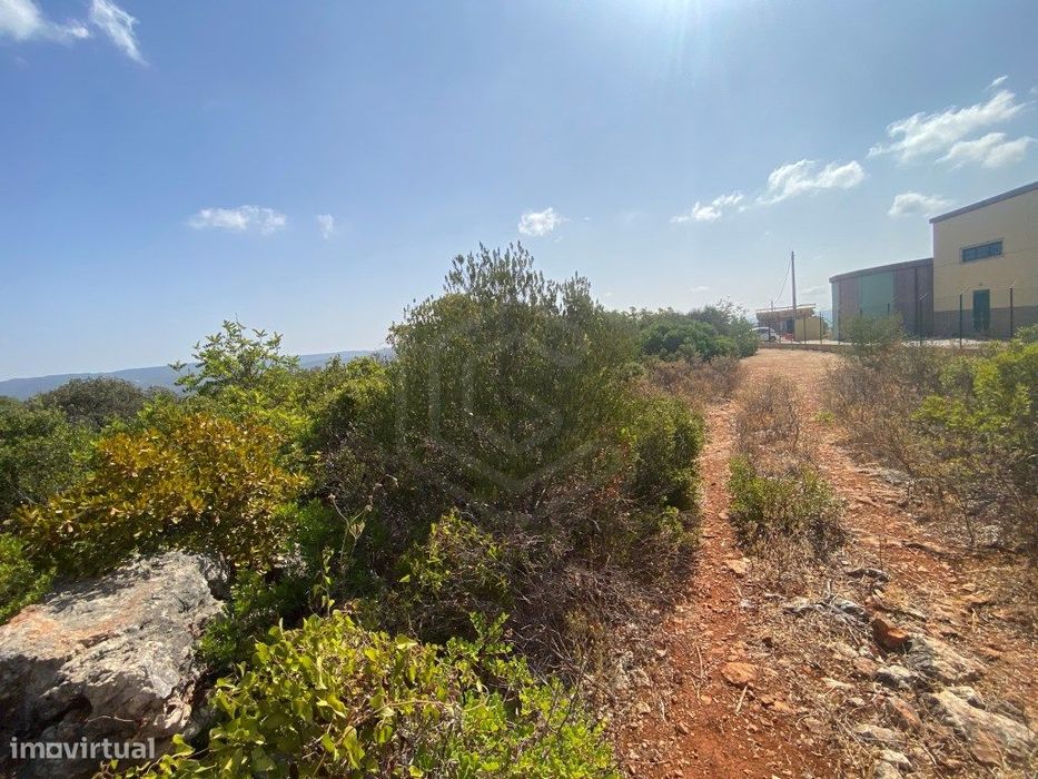 Lote de Terreno Rústico no Serro dos Passarinhos, Loulé, Algarve