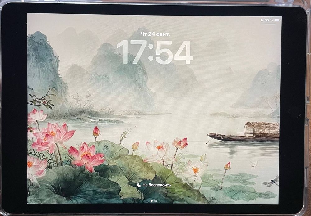 Ipad 9 gen. 256 Гб