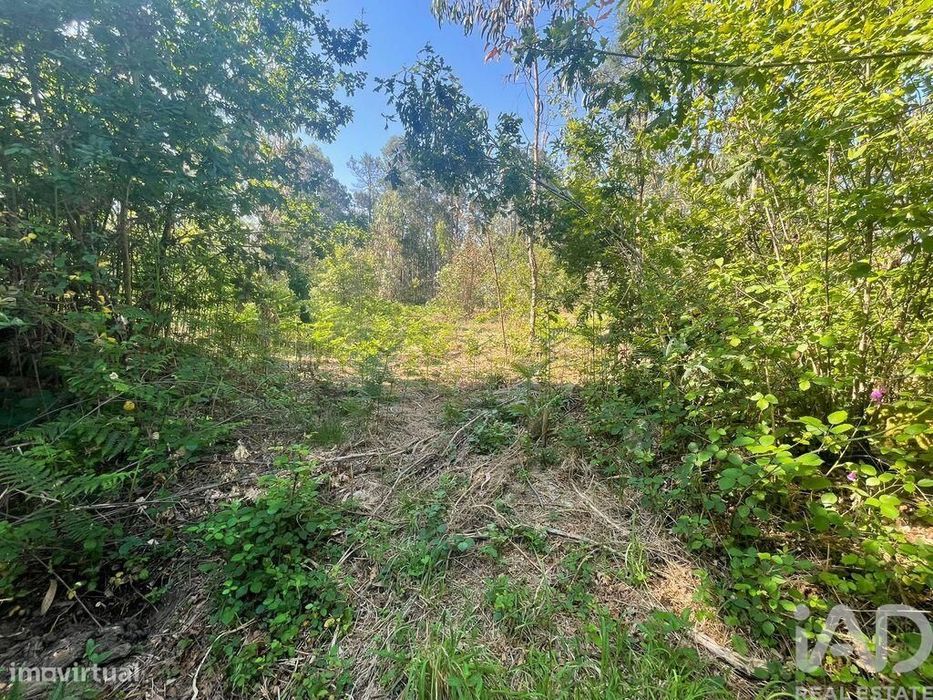 Terreno em Vila de Punhe de 4388,00 m2