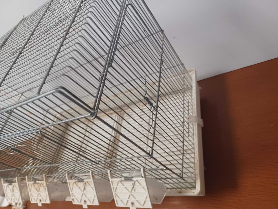 Gaiola passaros em galvanizado