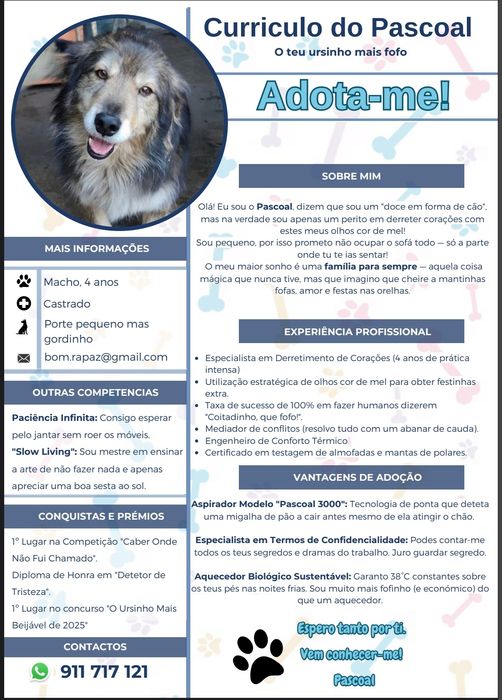Pascoal para Adoção Consciente