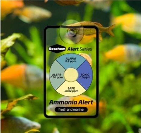 Ammonia alert seachem