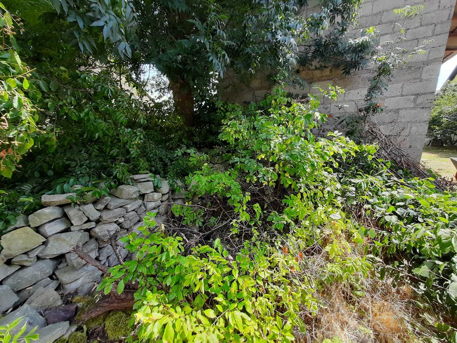 Oddam kamienie, cegły