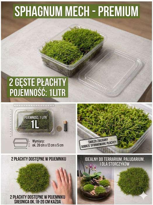 Mech Sphagnum Żywy 1L - 2 Gęste Płachty | Legalny | Sklep Wałbrzych