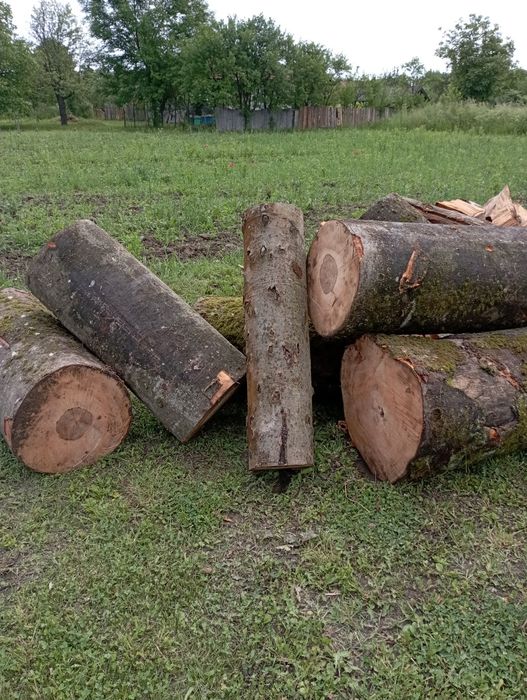 Дрова твердих порід Граб Бук Дуб