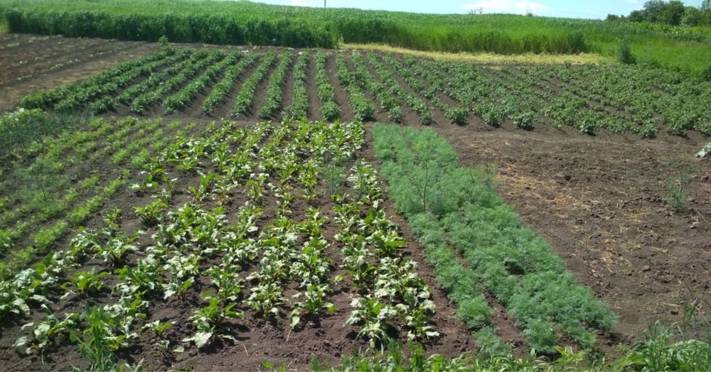 Продам будинок, обміняю на квартиру