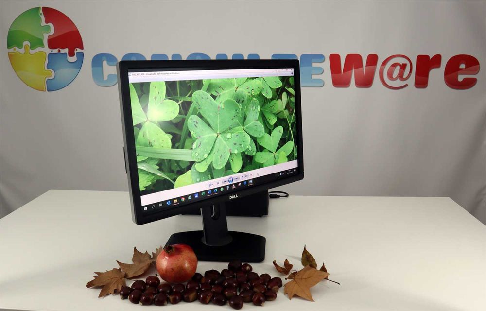 Monitor Dell UltraSharp 24" - U2412M por apenas 155,00 € já com IVA