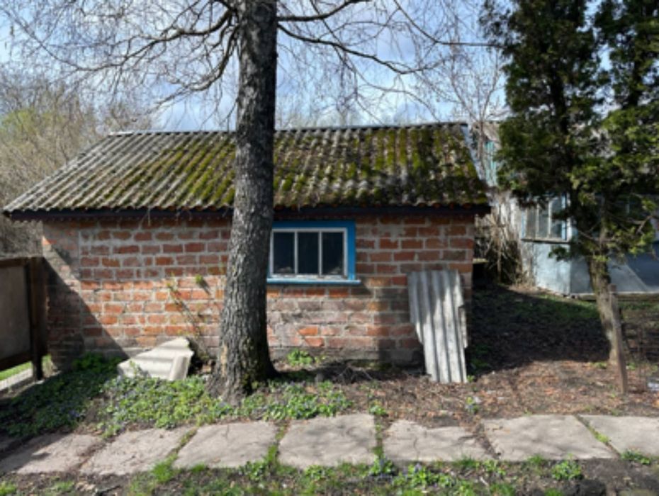 Будинок в с.Лосинівка
