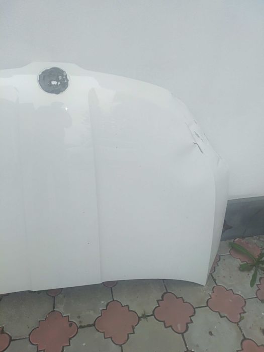 Капот та крило шкода