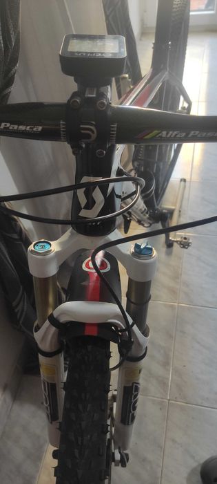 Scott scale 910 29 carbono