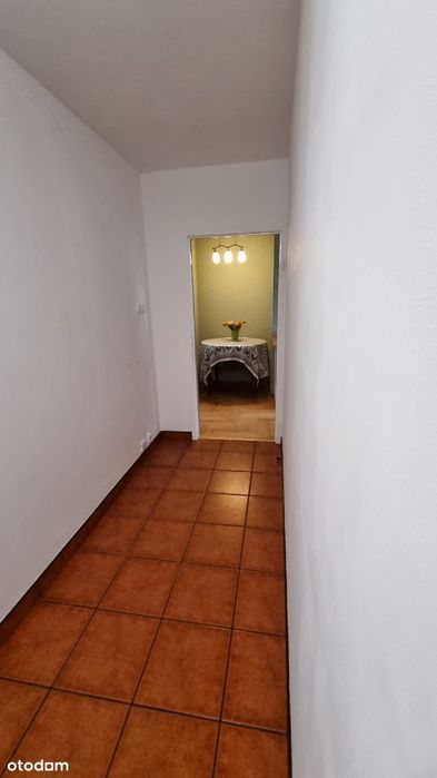 3 pokojowe 64.3 m.kw ul. Bajana Wrocław - Widok 3