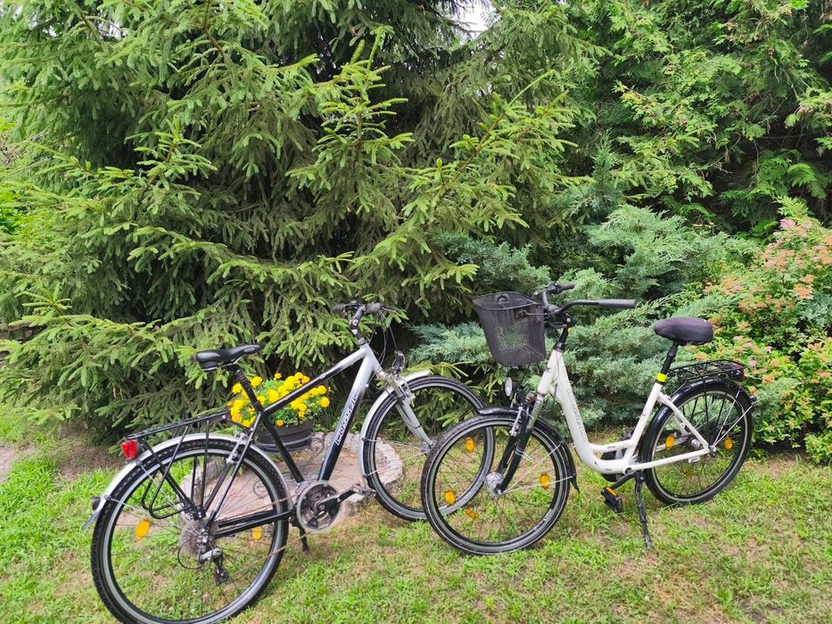 Rower Trekkingowy Cossack – Wyposażony i Gotowy do Jazdy!