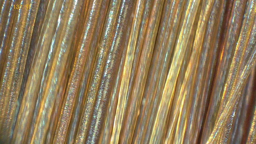 Badanie trichoskopowe w domu klienta