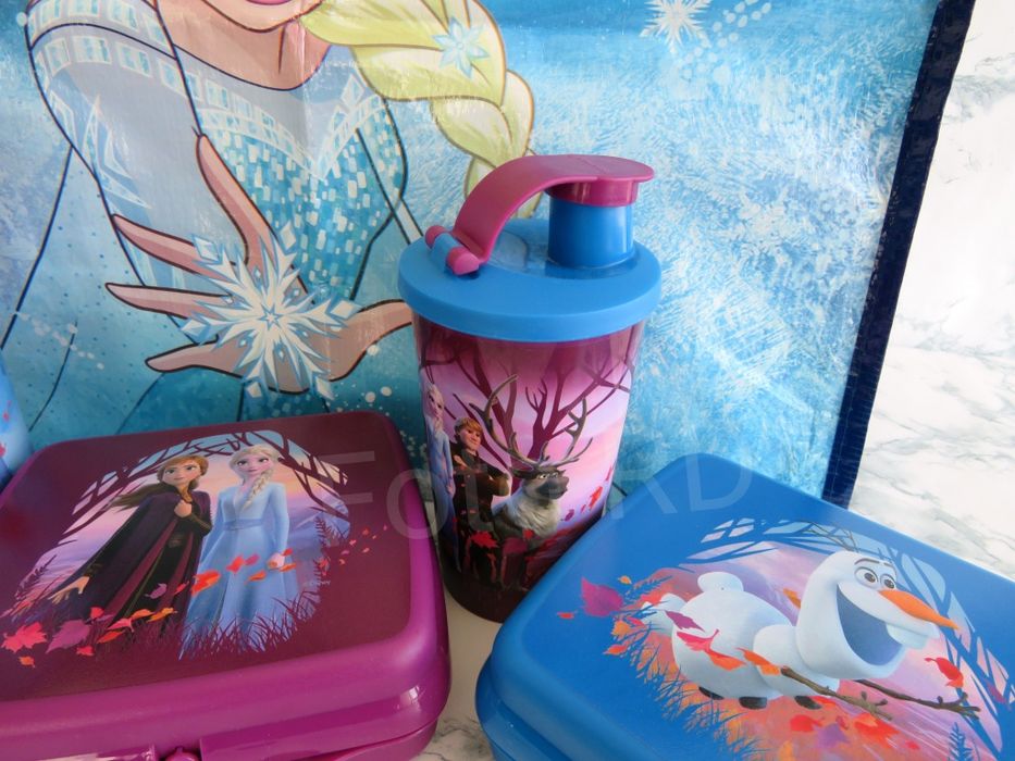 Tupperware Conjunto Frozen Novo