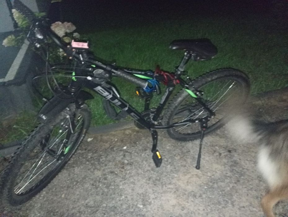 Rower MTB BULLS pulsar