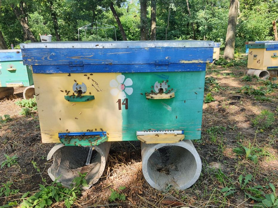 Улья 20 рамочные