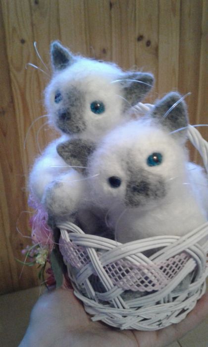 Сіамські кошенята валяні