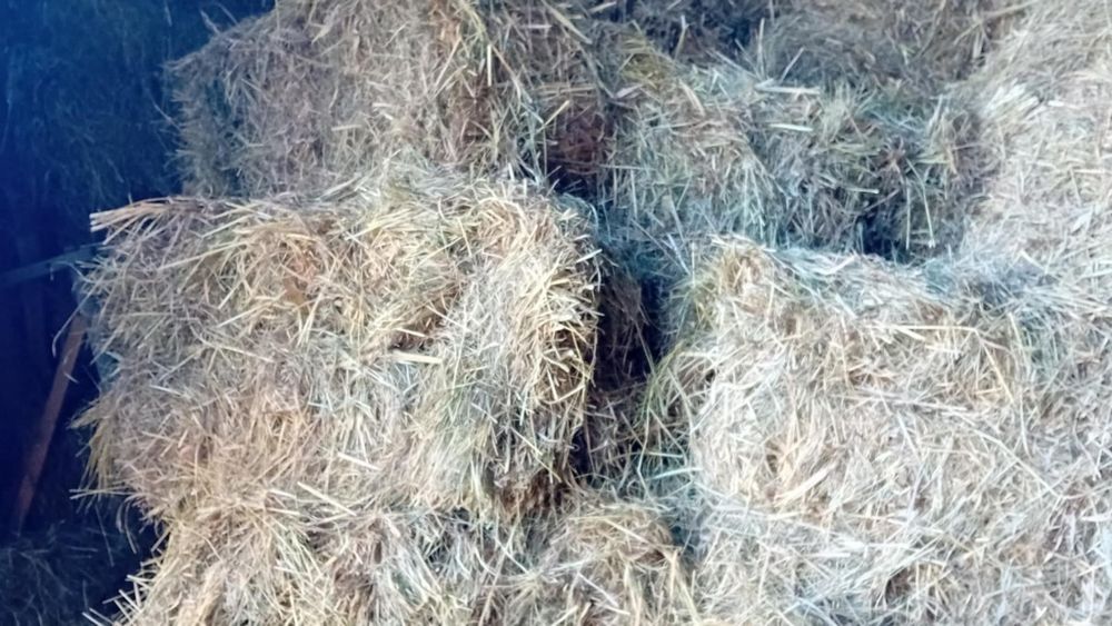 Sprzedam siano kostka