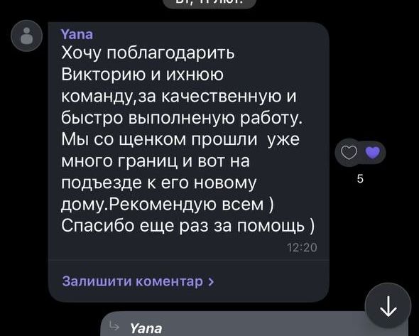 СРОЧНО за 5дней‼️Ветформа. Чипирование собак и других для выезда в ЕС