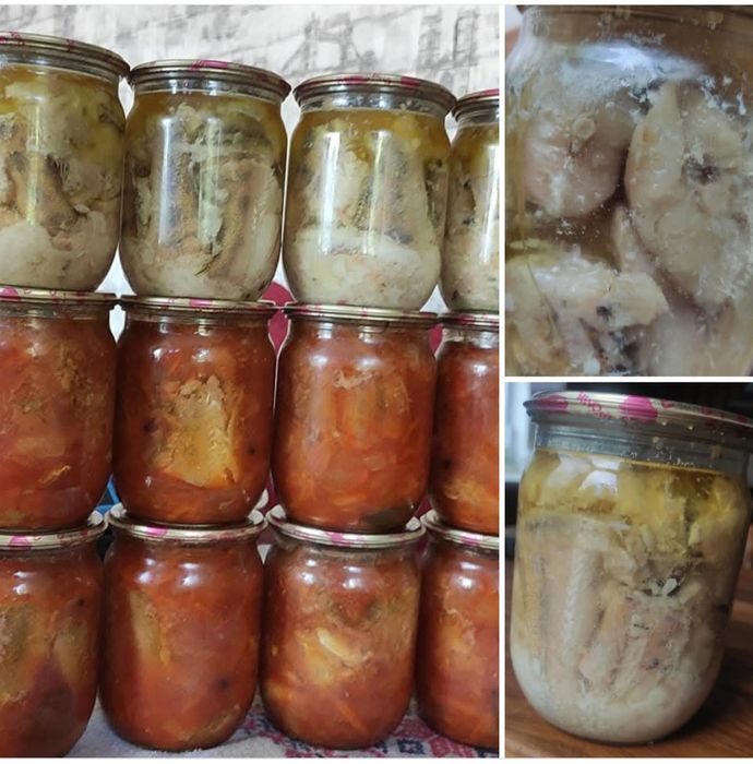 Консерва рибная, м'ясна