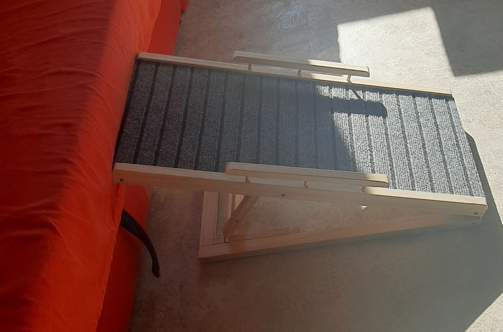 Rampa para cão/ gato(NOVA) - 35€