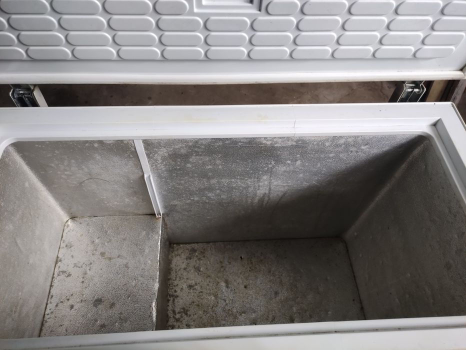 Arca congeladora Princess