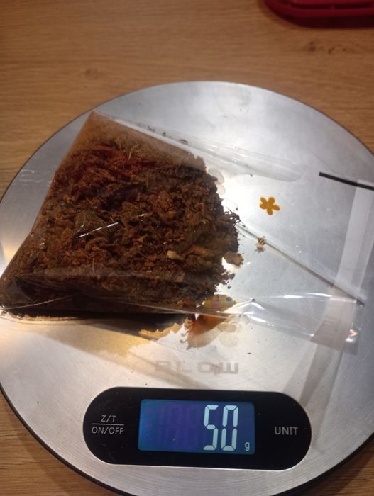 Kit pszczeli naturalny produkt pszczół 50 gram na propolis