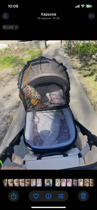 Продам коляску Adamex Nola