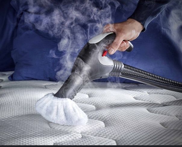 Limpeza a vapor  ao domicílio