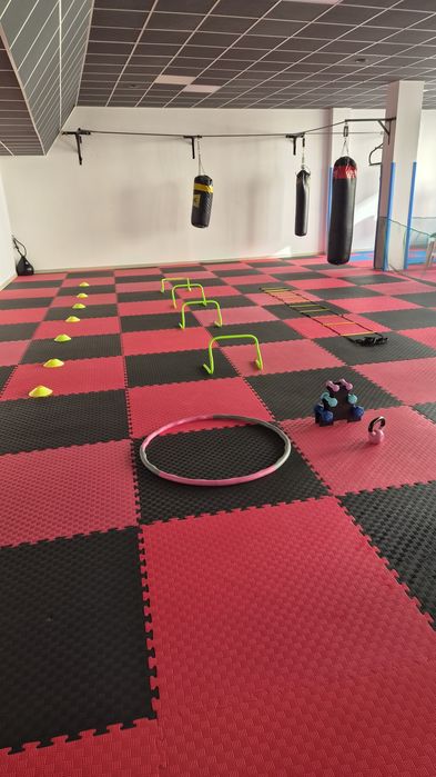 Wynajmę salę pod trening