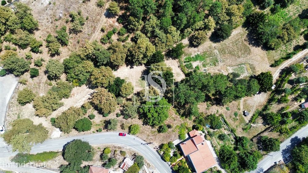 Terreno  Venda em Lufrei,Amarante