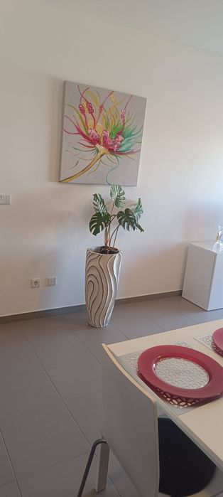 T1 arrendamento anual Praia da Rocha