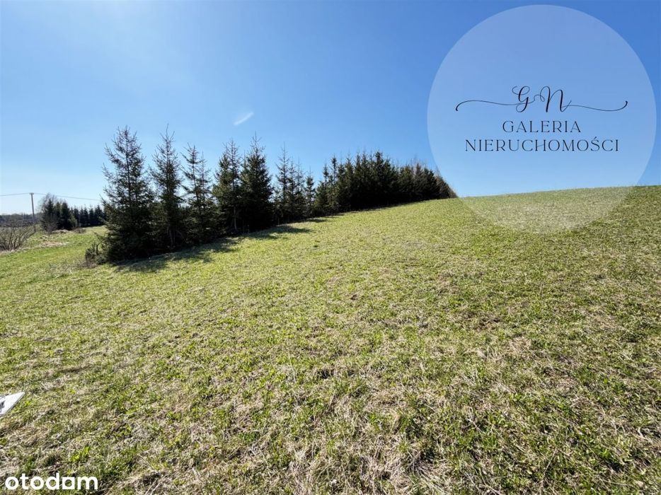 Wilimy działka na sprzedaż 3200m2 jezioro Dadaj/wz